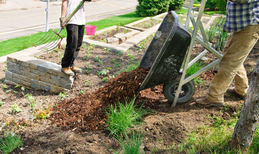 Entretien des jardins
